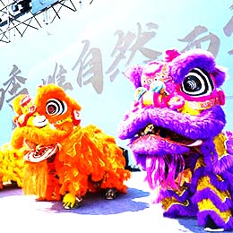 ��{����Ѫ{ꠣ���{�F���Ѫ{�F���{��ꠣ��{�ӈF�����{������{�F